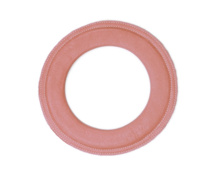 frisbee aus leder - loop