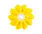 little sun - Bild1