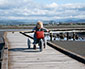 Stylische Fahrradtasche - Bild2