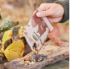 kleine Mahlzeit für Eichhörnchen - Bild1